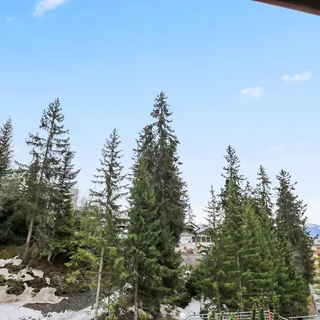 Chaleureux Et Paisible Appartement Crans-Montana